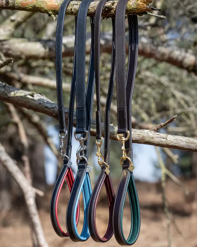 LEMIUEUX Windsor Burgundy & Black Leather Dog Leads | Equiflair - Padded Handle, Metal Hardware, Stylish Stitching