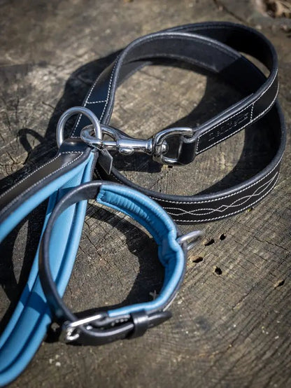 LeMieux Windsor Dog Lead Ice Blue/Black | Equiflair