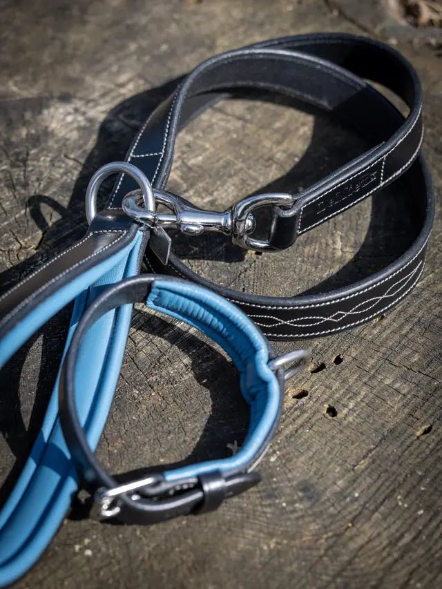 LeMieux Windsor Dog Lead Ice Blue/Black | Equiflair