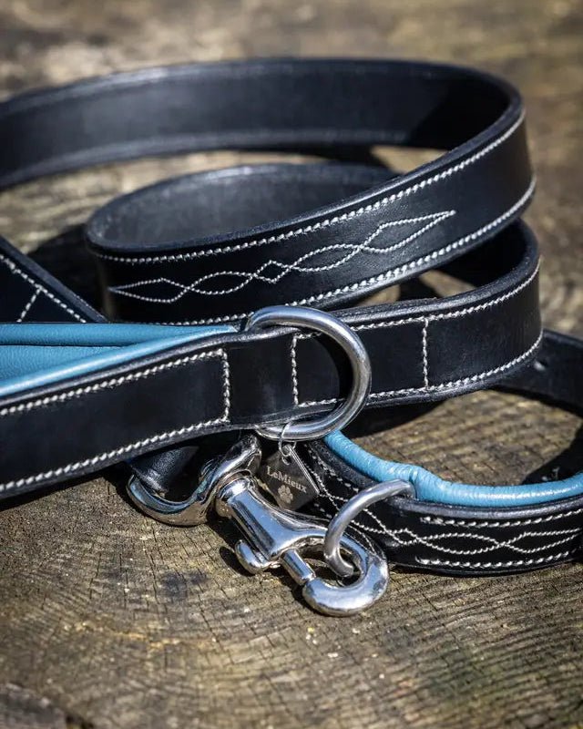 LeMieux Windsor Dog Collar Ice Blue/Black | Equiflair