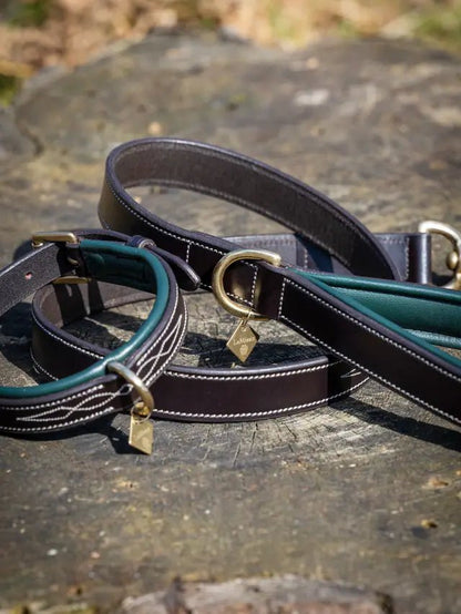 LeMieux Windsor Dog Collar Hunter Green/Brown | Equiflair