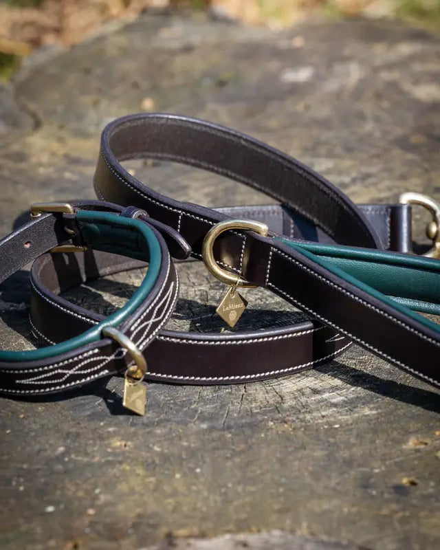 LEMIEUX WINDSOR Dog Lead in Hunter Green and Brown - Premium Leather Dog Leash by Equiflair