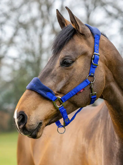 LeMieux Vogue Horse Headcollar - Royal Blue - Fleece Padded - Adjustable