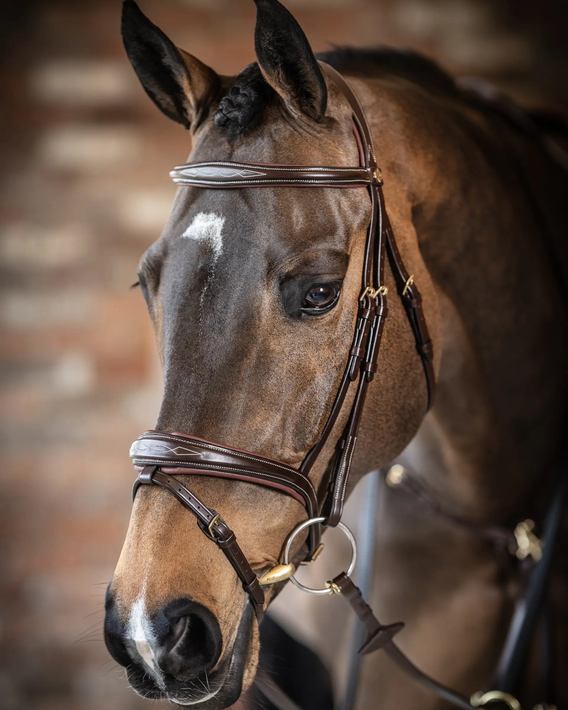 LeMieux Kudos Competition Havana Horse Bridle - Equiflair | Premium Equestrian Gear
