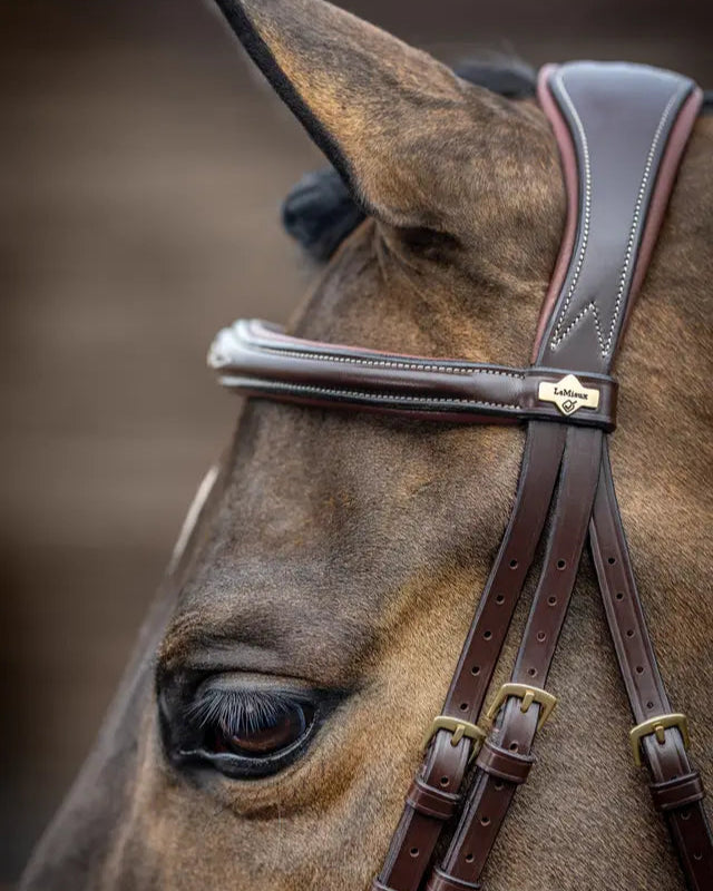 LeMieux Kudos Havana Brown Leather Horse Bridle - Competition Flash Bridle | Quality Horse Tack for Sale