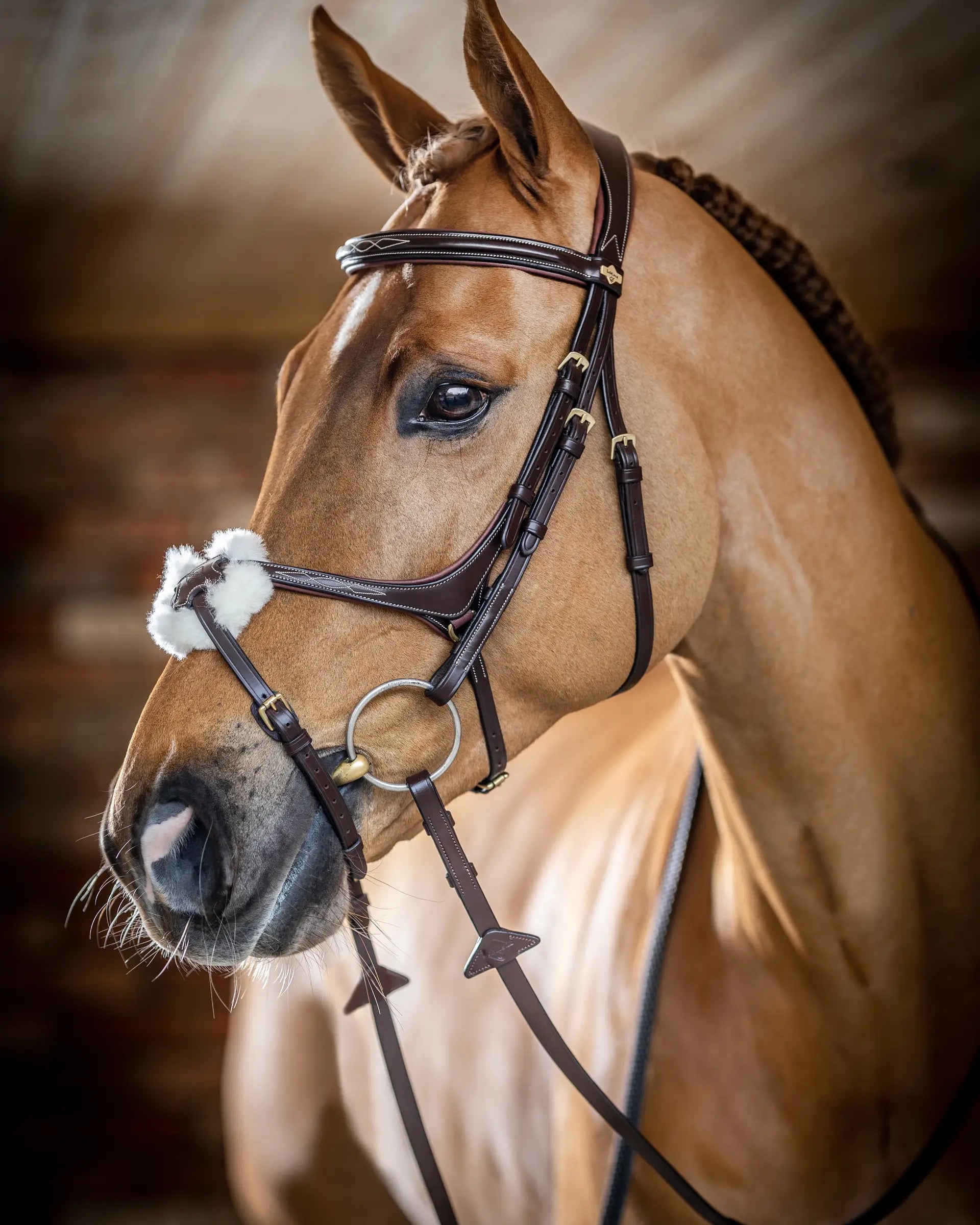 LeMieux Kudos Grackle Bridle Havana Brown: European Leather Comfort Bridle for Horses with Padded Nose & Browband