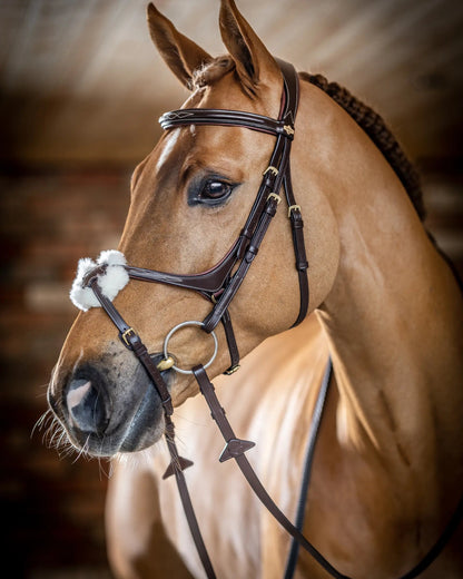 LeMieux Kudos Grackle Bridle Havana Brown: European Leather Comfort Bridle for Horses with Padded Nose & Browband