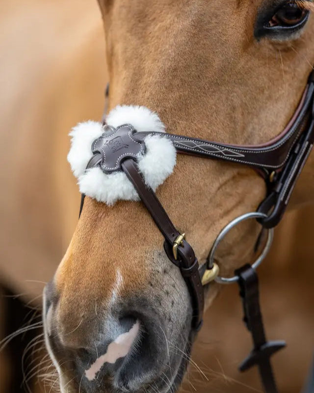 LEMIEUX KUDOS GRACKLE BRIDLE HAVANA: Horse bridle featuring soft padding, decorative stitching, and a comfortable fit for your horse.