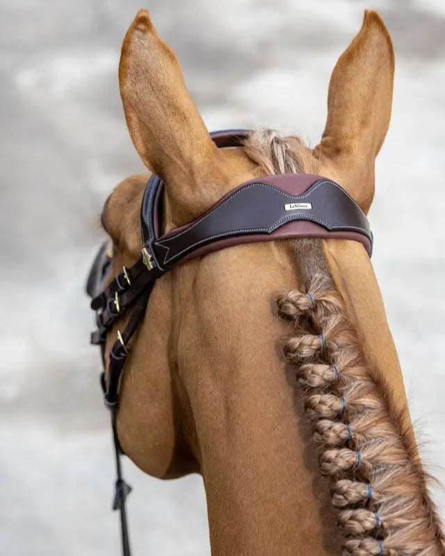 LeMieux Kudos Havana Competition Flash Bridle: Brown Leather Horse Bridle, Padded, Detachable Flash Loop