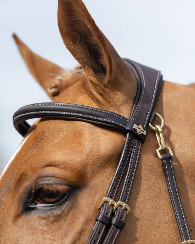 LeMieux Kudos Work Bridle Brown with Brass Fittings - Premium Horse Bridle