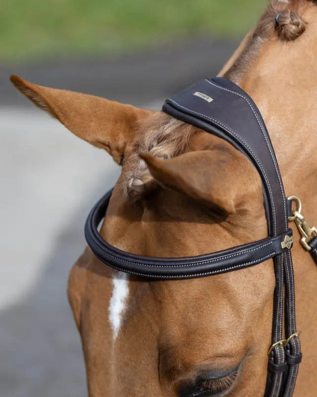 LEMIEUX KUDOS WORK BRIDLE BROWN - Soft Oiled Leather Horse Bridle with Detachable Flash - Equiflair