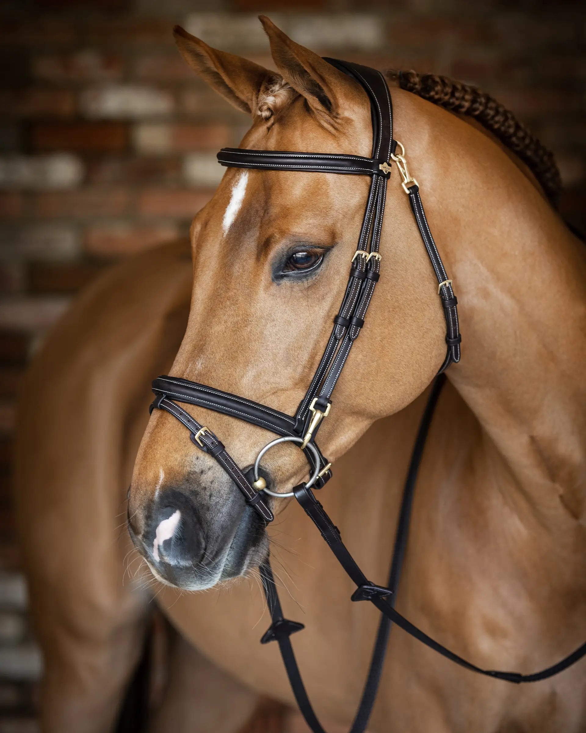 LeMieux Kudos Work Bridle Brown with Brass Fittings | Soft Oiled Leather Horse Bridle for Training and Showing