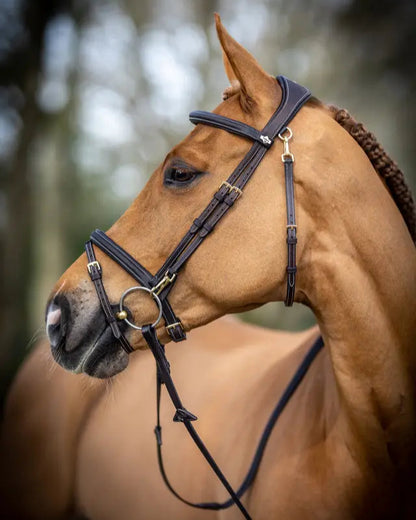 LeMieux Kudos Work Bridle Brown Leather | Horse Bridle Equiflair