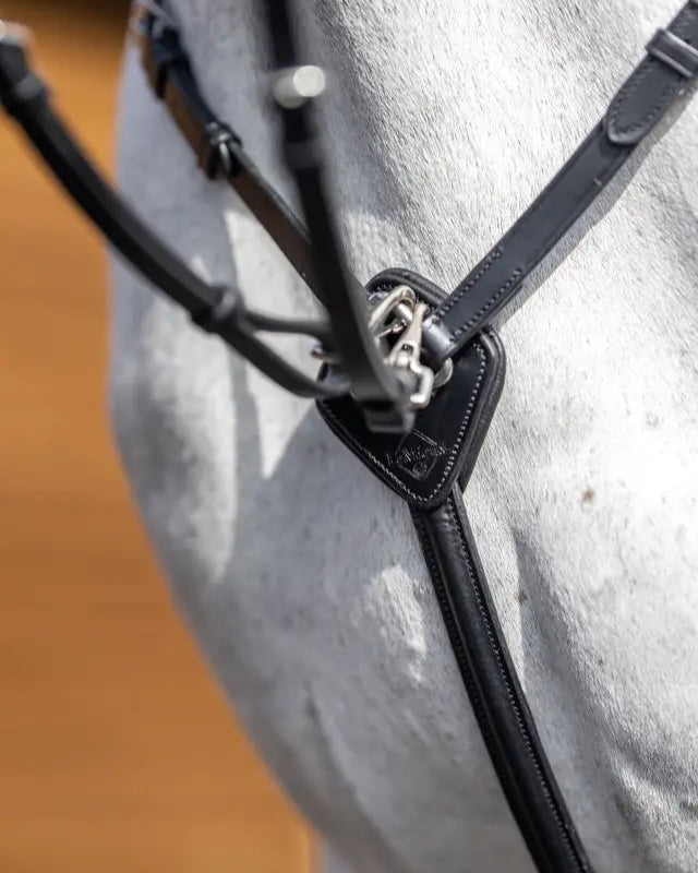LeMieux Breastplate (D-Ring) Black/Silver: Horse Riding Martingale Attachment - Equiflair Saddlery