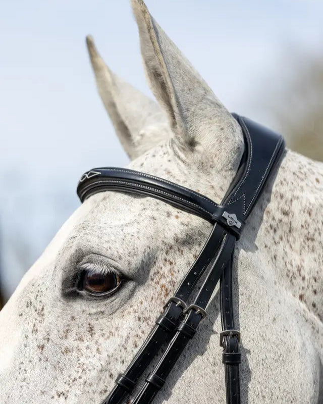 LeMieux Kudos Competition Flash Bridle Black: Equestrian Horse Tack - Superior Comfort & Style for Horseback Riding