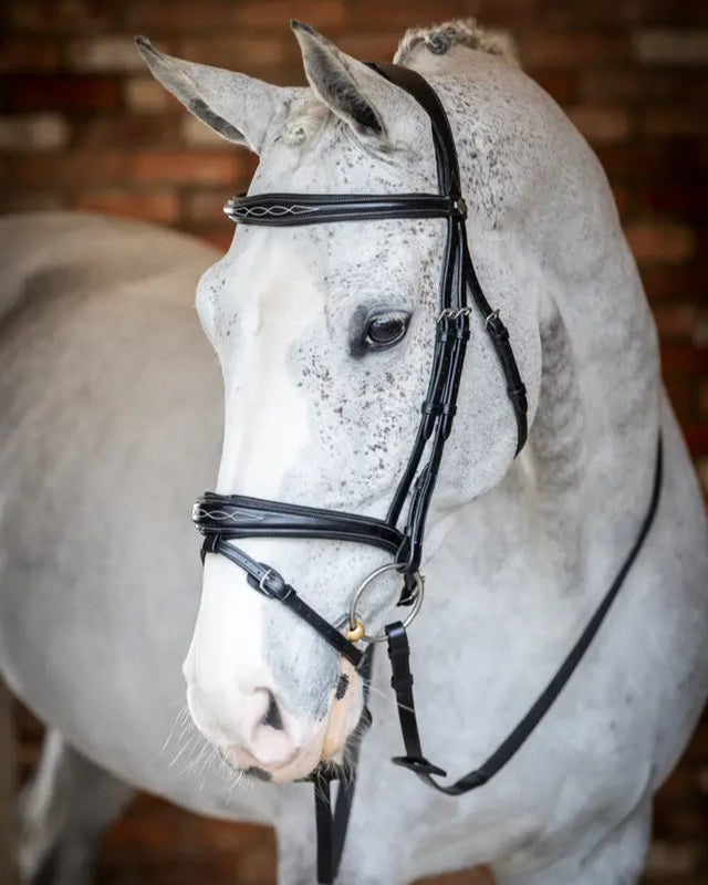 LeMieux Kudos Competition Horse Bridle - Black Leather - Show Quality with Padded Browband & Noseband
