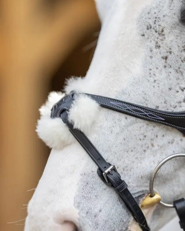 LeMieux Grackle Bridle in Black: Comfortable Horse Bridle with Soft Padding and Decorative Stitching