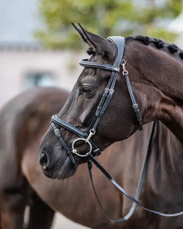LEMIEUX KUDOS WORK BRIDLE BLACK: Close-up of a black leather horse bridle featuring a padded noseband and silver fittings.