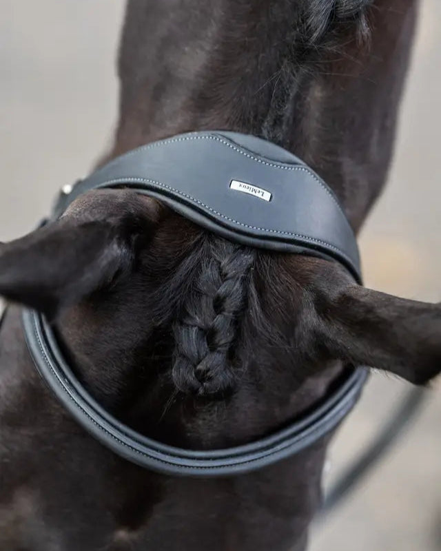 LeMieux Kudos Black Work Bridle on Horse - Soft Leather Equestrian Gear