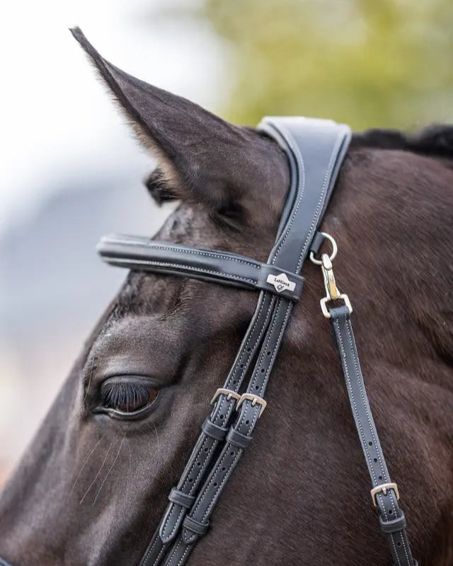 LeMieux Kudos Work Bridle Black: Premium Leather Horse Bridle with Silver Fittings | Equiflair Saddlery