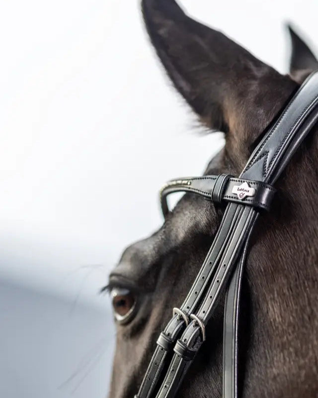 LeMieux Kudos Classic Dressage Bridle Black