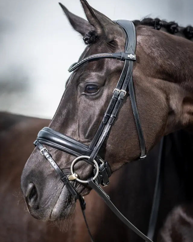 LeMieux Kudos Classic Dressage Bridle Black