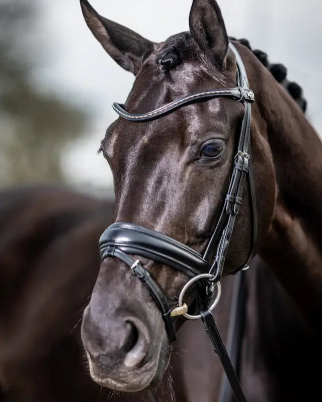 LeMieux Kudos Classic Dressage Bridle Black