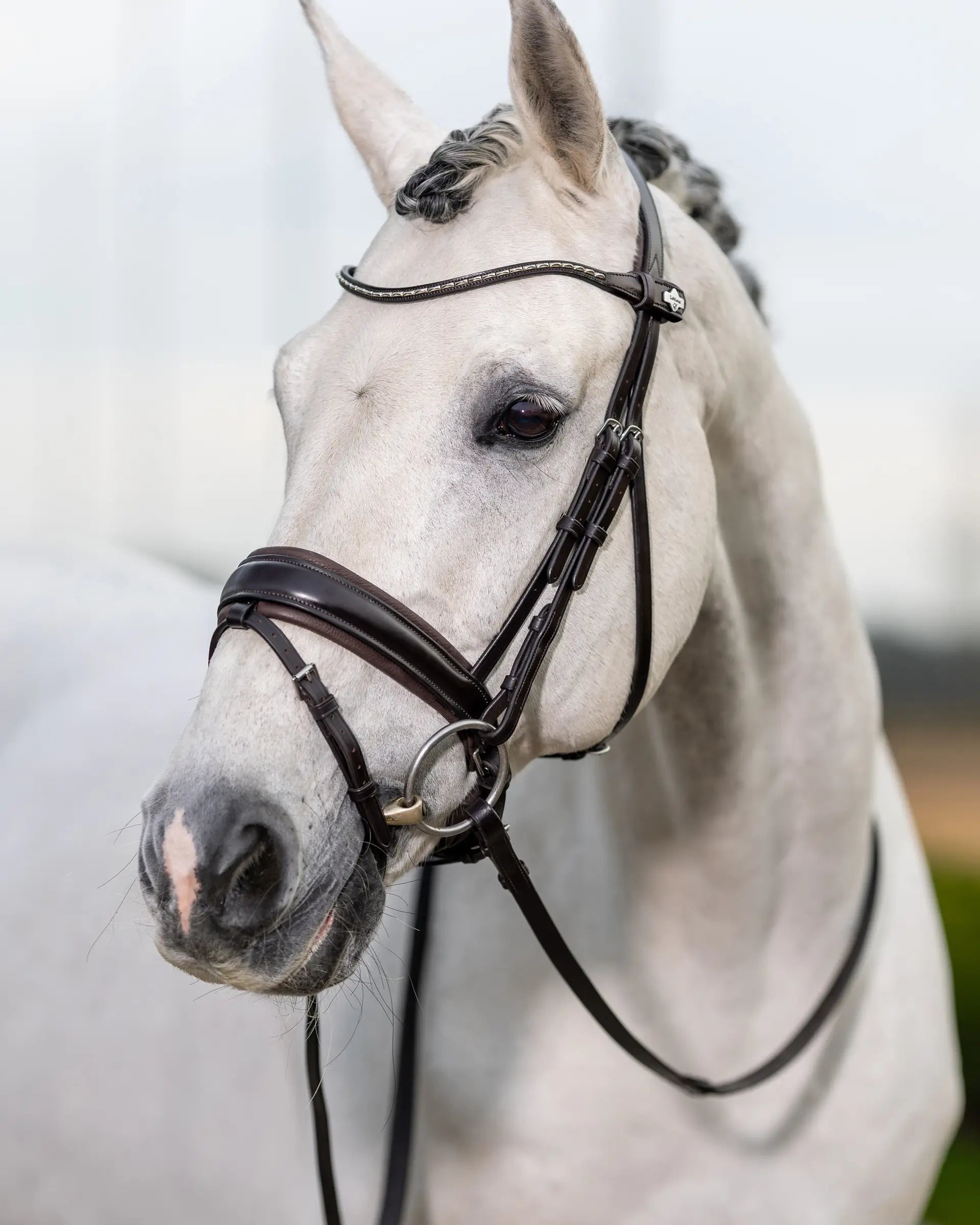 LeMieux Kudos Classic Dressage Bridle Brown