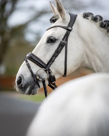 LeMieux Kudos Classic Dressage Bridle Brown