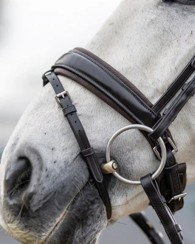 LeMieux Kudos Classic Dressage Bridle Brown