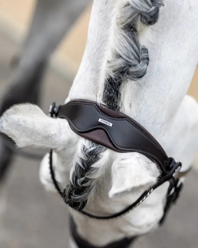 LeMieux Kudos Classic Dressage Bridle Brown
