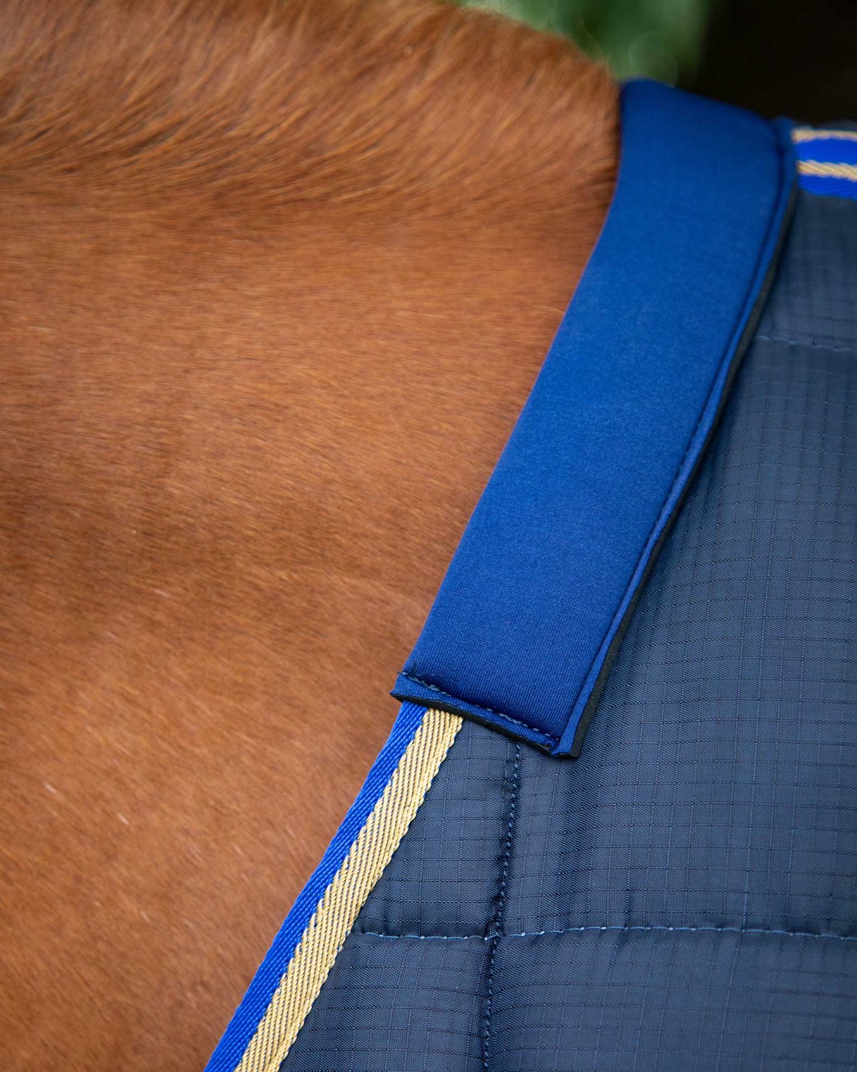 Premier Equine Garissa Stable Rug 400g Navy: Close-up of quilted horse rug on a horse. Breathable and comfortable for stable use.