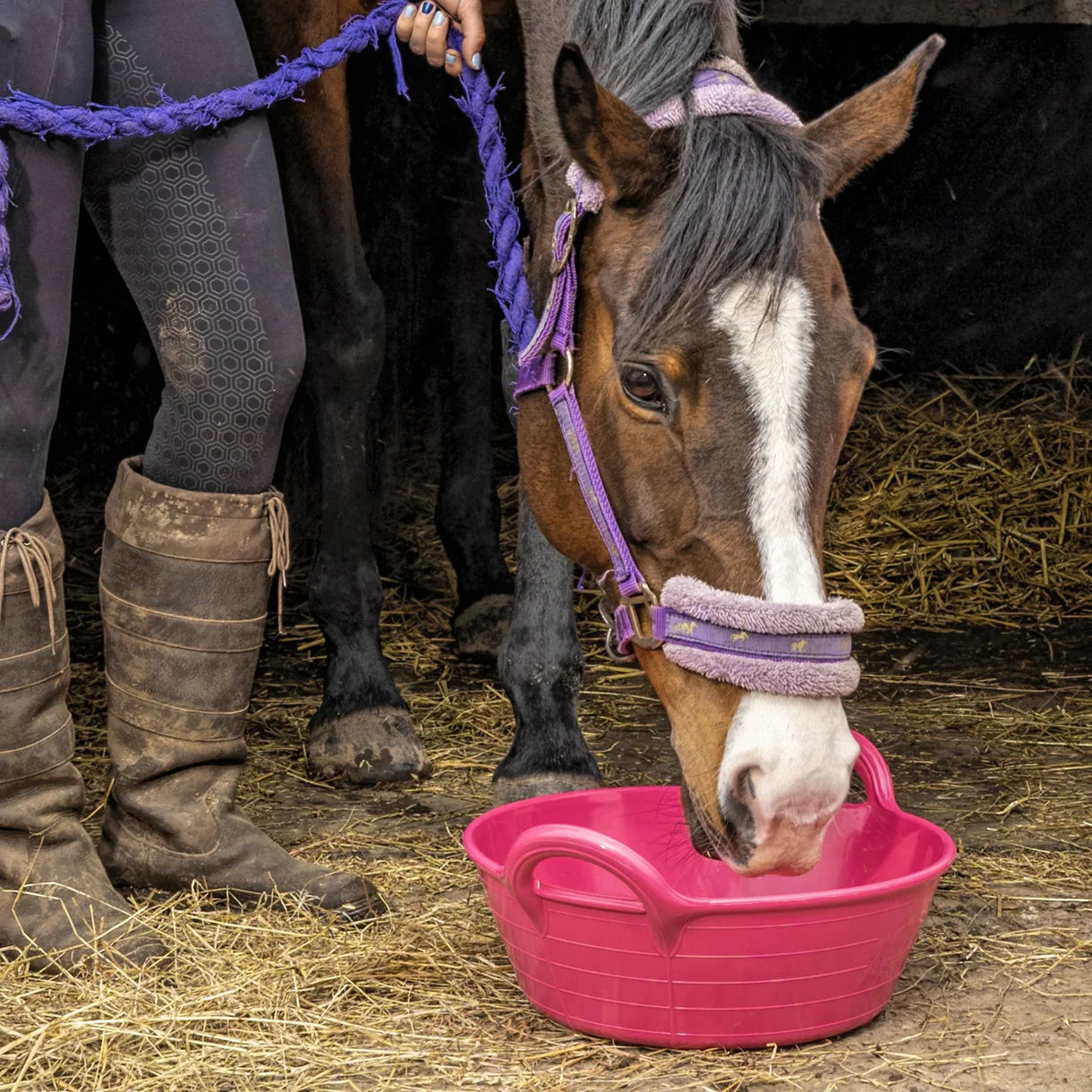 Horse drinking from pink Red Gorilla Small Feed Skip. Equestrian supplies at Equiflair.