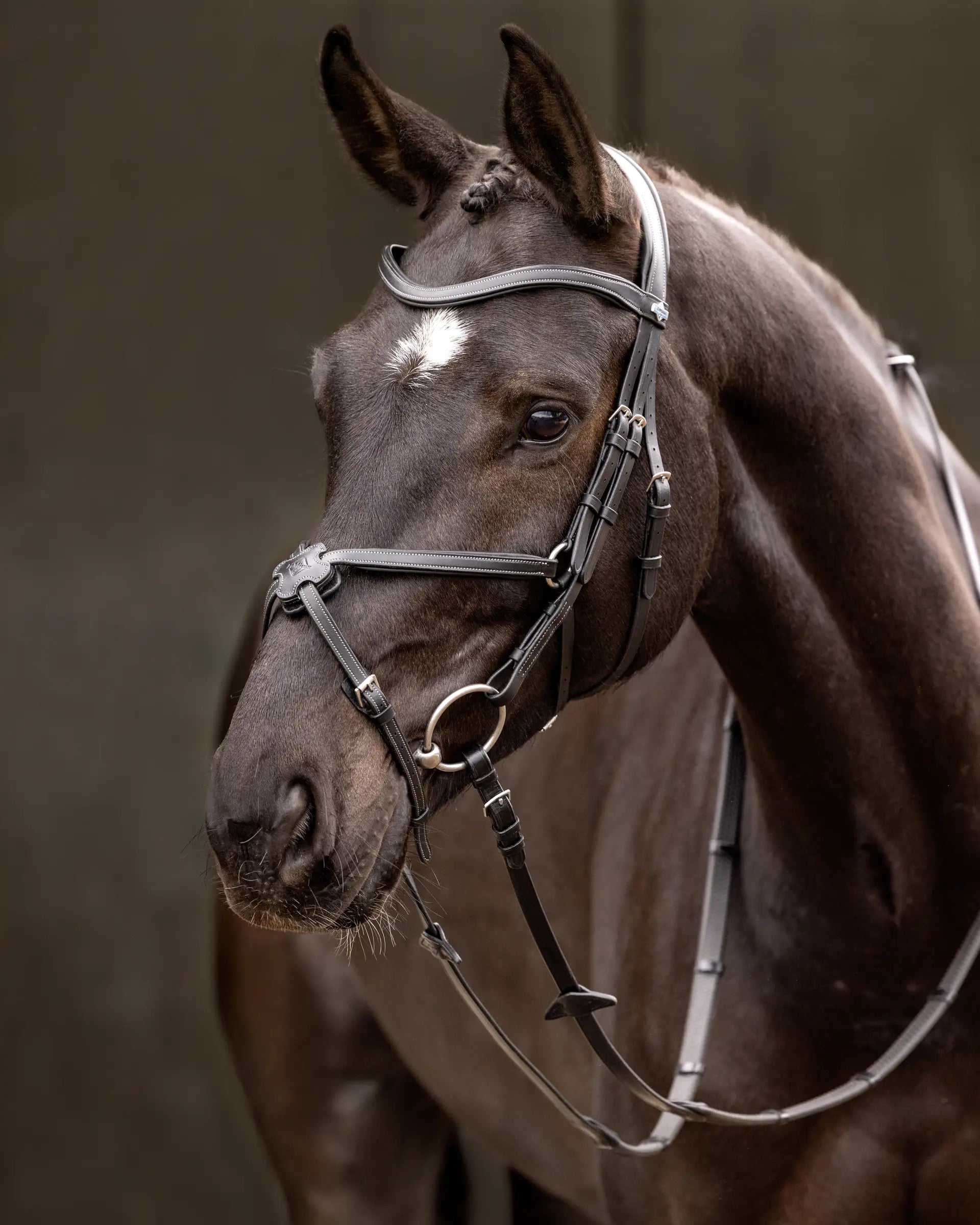 LeMieux Arika Grackle Bridle - Black/Silver: Close-up of a horse's head wearing the black LeMieux bridle with silver hardware.