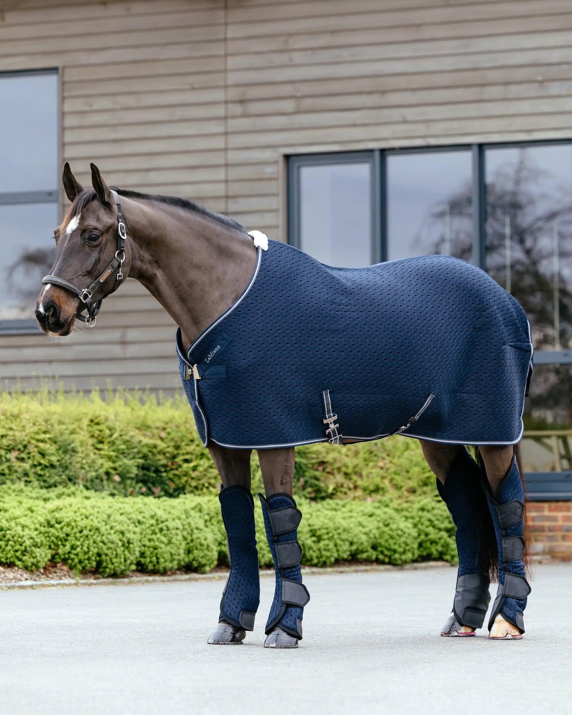 LeMieux Kudos 3D Mesh Travel Rug Navy