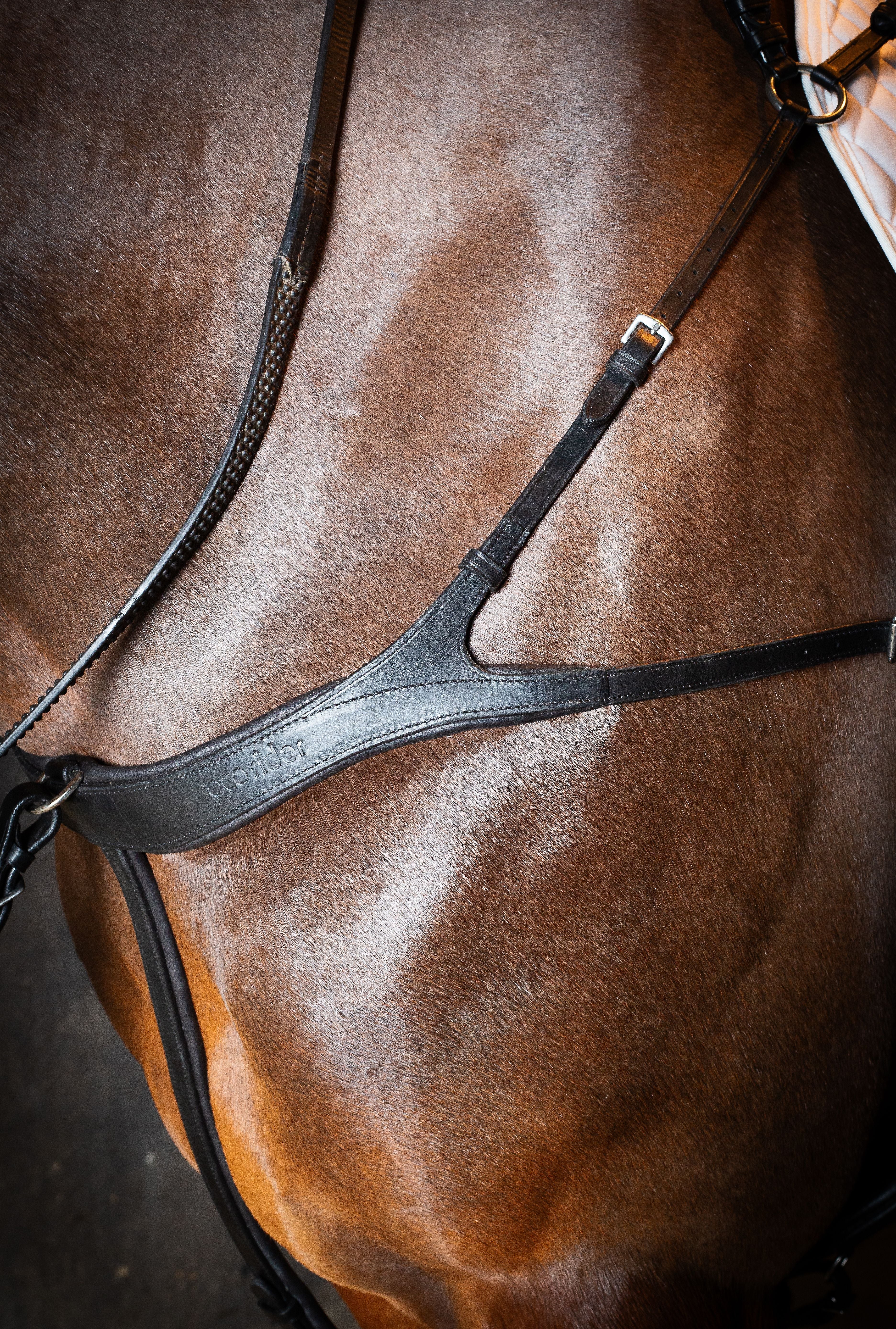 Ecorider Tara Breastplate Black