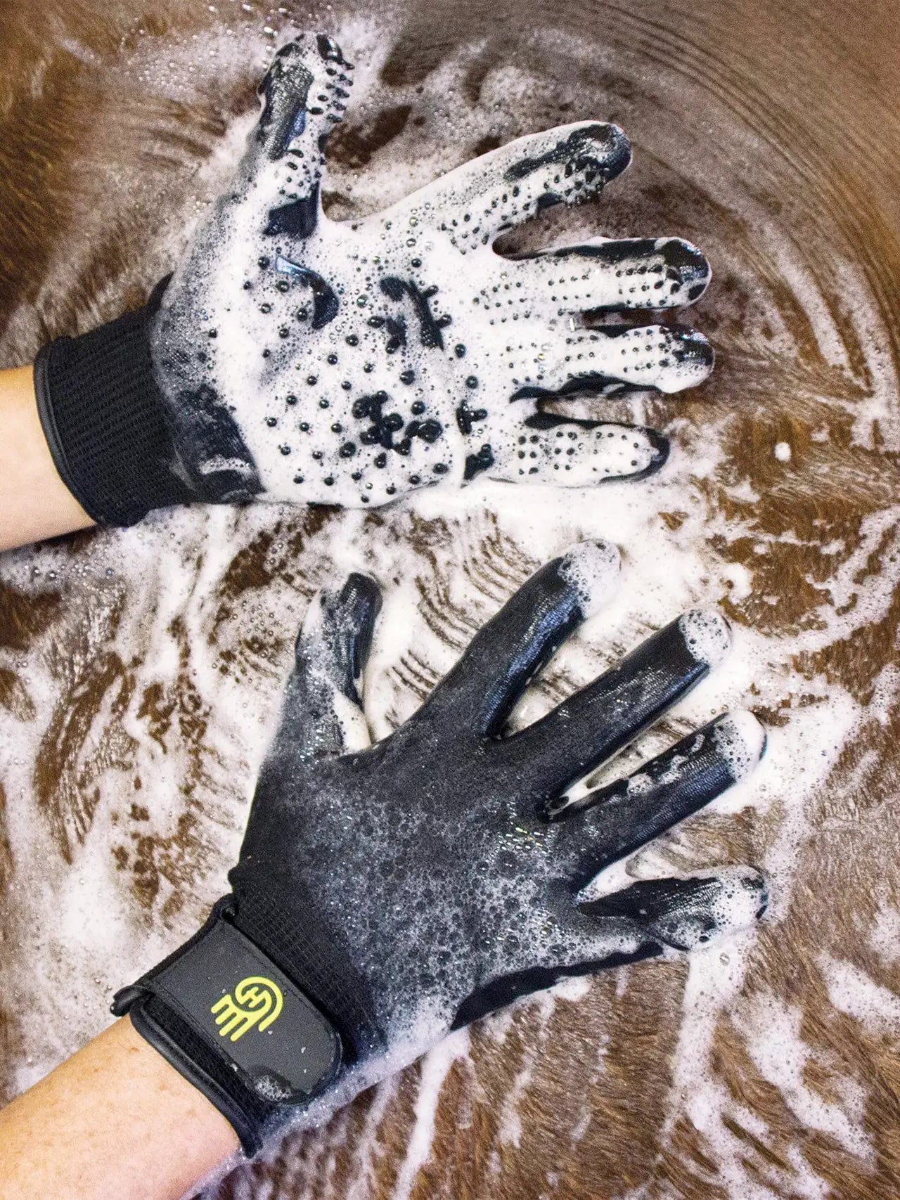 LEMIEUX HANDS ON GLOVE: Grooming gloves for horses and pets, scrubbing, massage, and de-shedding. Equiflair.