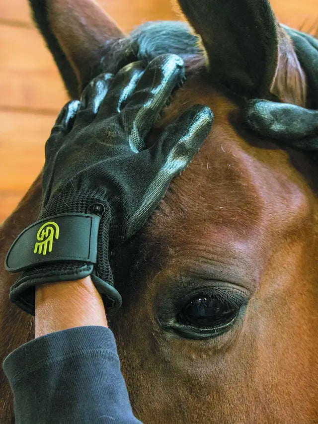 HandsOn Gloves: LEMIEUX Horse Grooming Glove - Gentle Equine Care for a Happy Horse - Equiflair