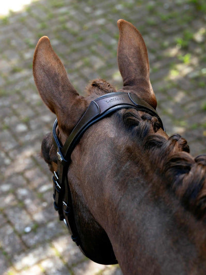 LeMieux Arika Anatomic Grackle Bridle on a brown horse, Havana leather