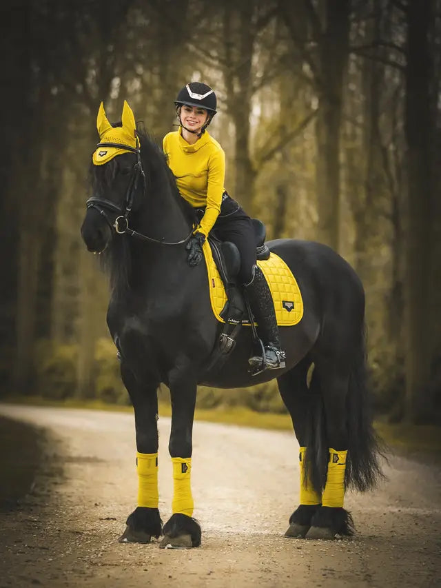Horse & Rider in Yellow LeMieux: Black Friesian with Loire Dijon Dressage Pad, Equestrian Style
