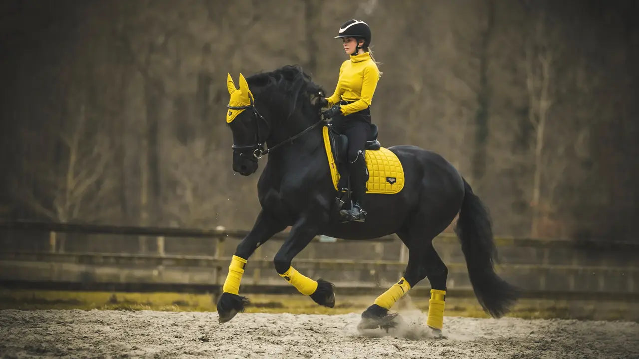 Equestrian: Rider on Black Horse with Yellow LeMieux Loire Dressage Pad. Stylish horse riding attire.