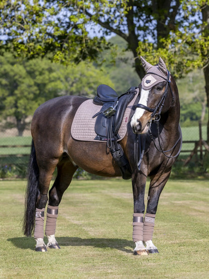LeMieux Suede Dressage Square Mink Saddle Pad on a Horse. Equiflair Store. Horseback riding equipment. Equestrian apparel.