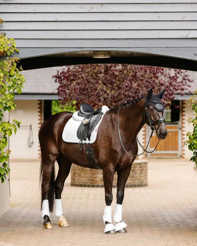 LeMieux Suede Dressage Square White
