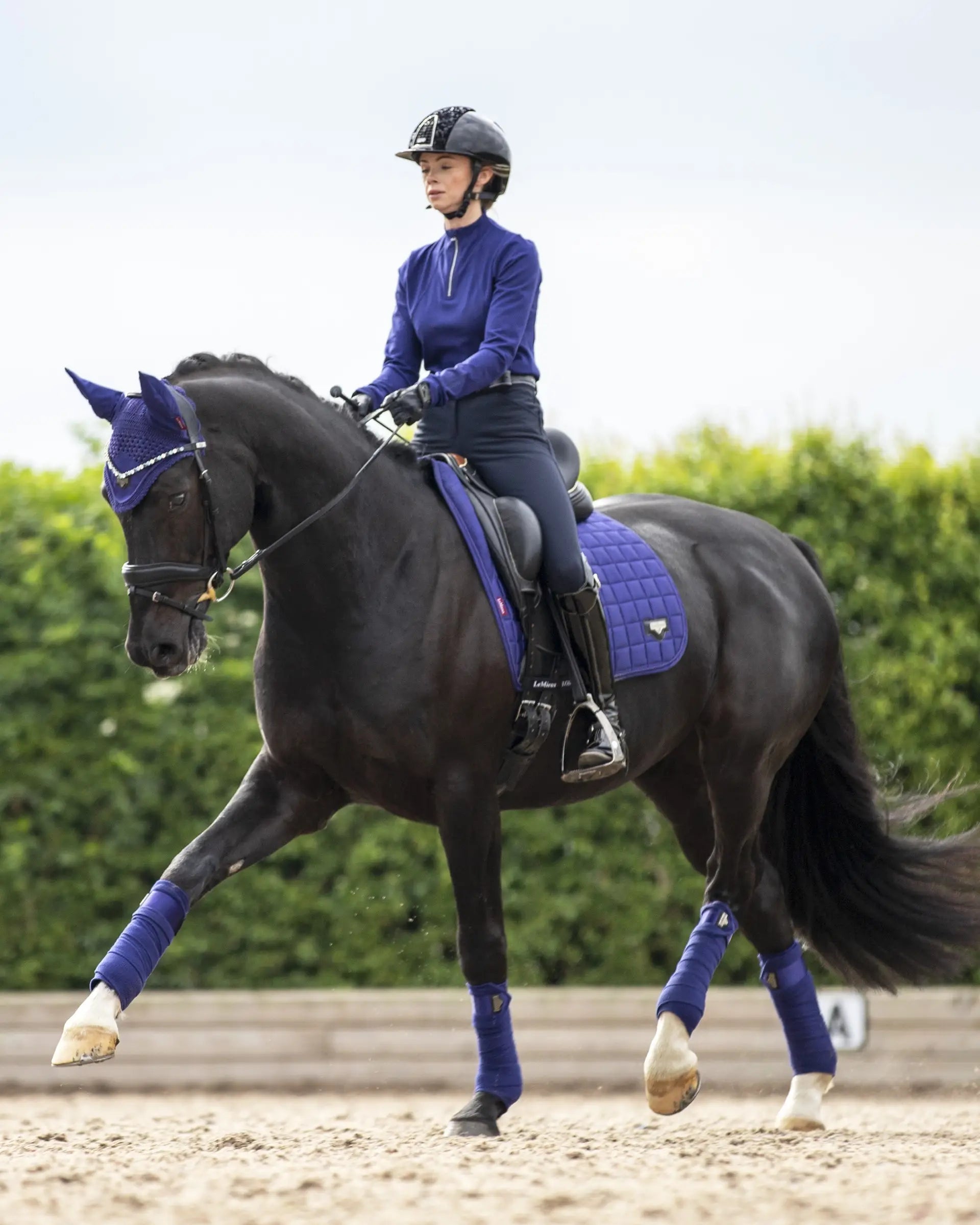 LeMieux Loire Classic Dressage Square Ink Blue