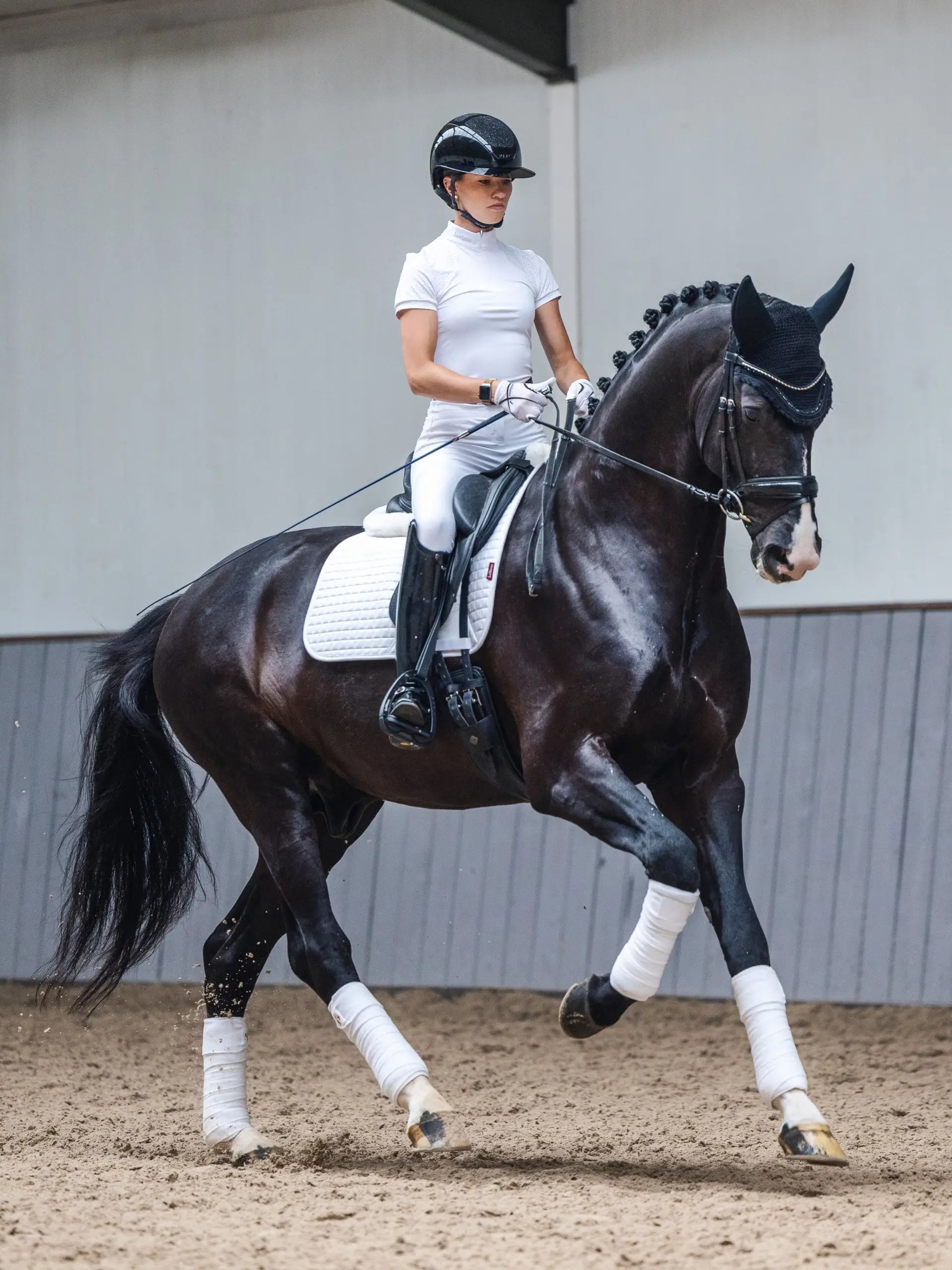 Elegant dressage horse with rider in white. LeMieux White Dressage Pad by Equiflair. Horse show style.