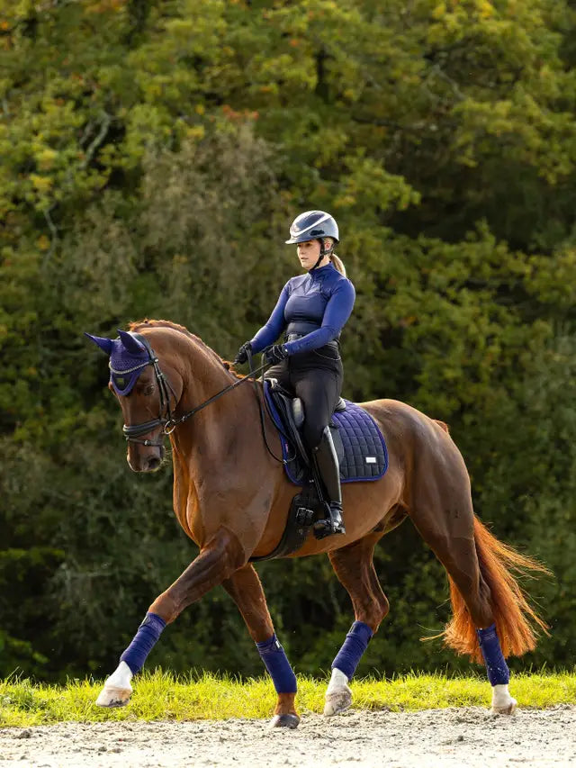Equestrian Image: Horse and rider wearing LEMIEUX SPECTRUM DRESSAGE SQUARE INK BLUE, dressage attire, competition ready.