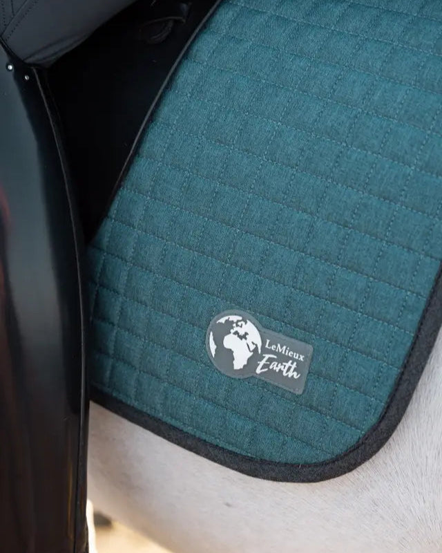 LeMieux Earth Dressage Square Ocean