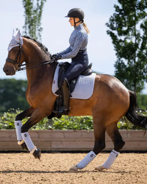 LeMieux Classic Polo Bandages in Mist on a Horse: Equestrian Leg Protection for Dressage and Horse Riding