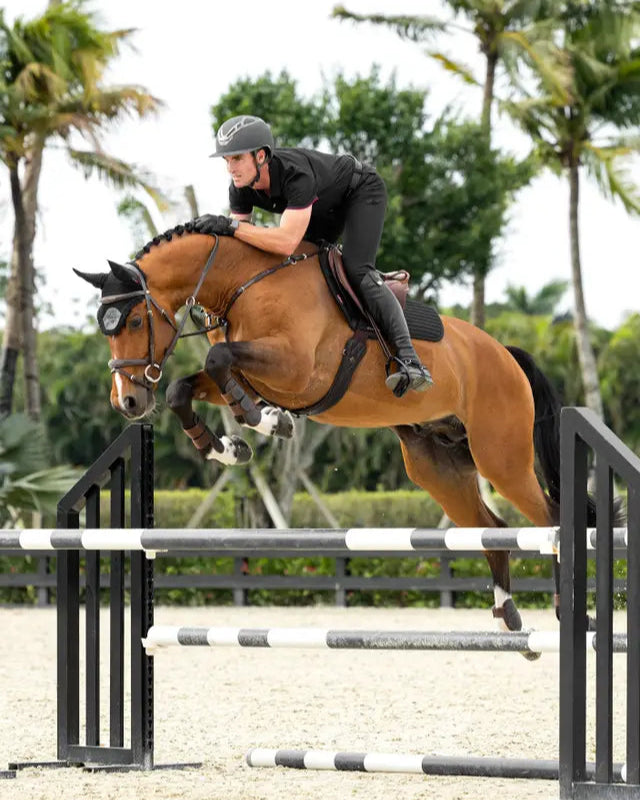 Horse jumping fence wearing LeMieux Soft Shell Anti Slip Eurojump Square Black saddle pad. Equestrian sport.