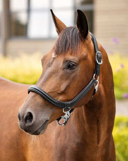 LeMieux Leather Grooming Headcollar Black